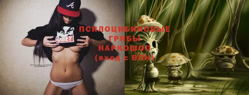 Псилоцибиновые грибы Magic Shrooms  дарк нет состав  Иннополис 